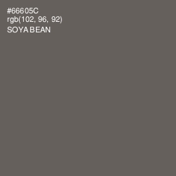 #66605C - Soya Bean Color Image
